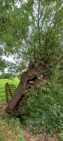 Battle of Sedgemoor Visitor Centre景点图片
