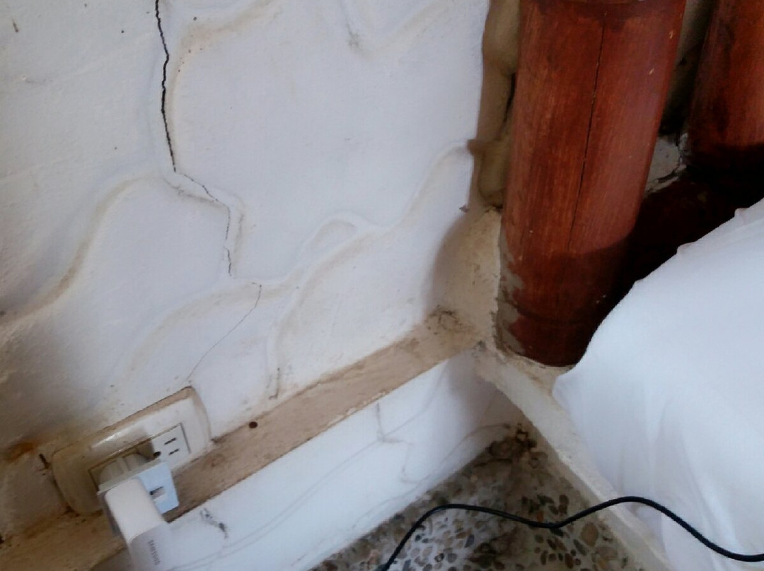 El Senor de los Caballos主图