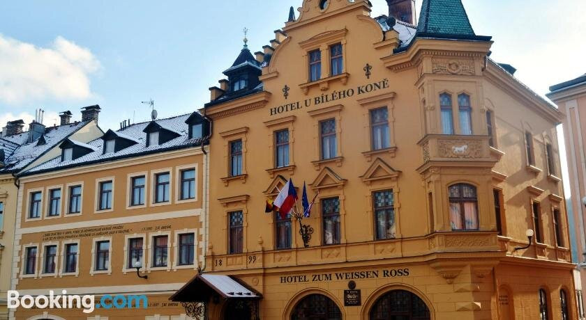 Hotel U Bileho kone主图
