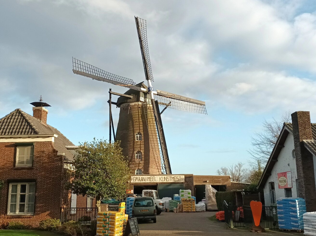 Windmolen "zeldenrust" (1869)景点图片