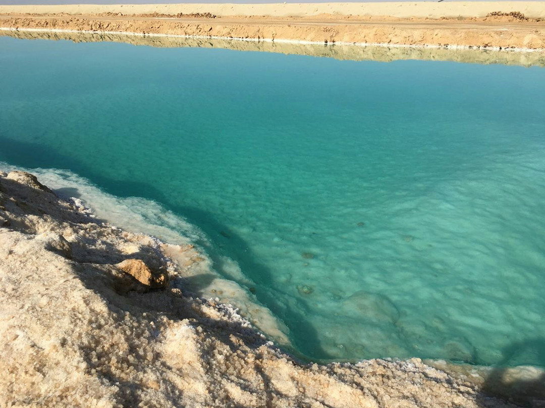 Siwa Safari Paradise Hotel & Tourist Village主图