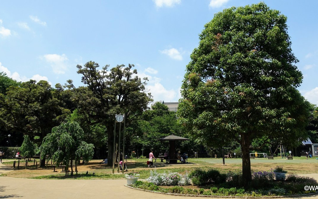 Shirokanedai Donguri Children's Park-Shirokanedai必去景点