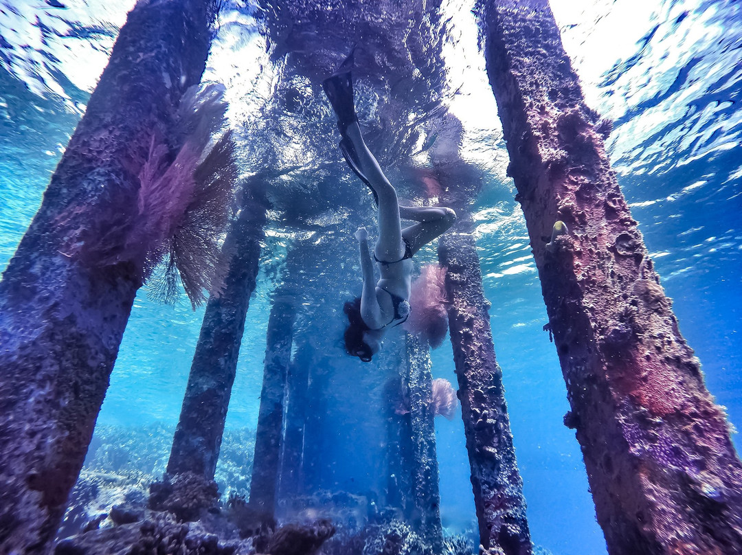 Togean Journey景点图片