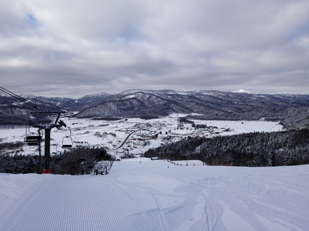 Otoifuji Ski Resort景点图片