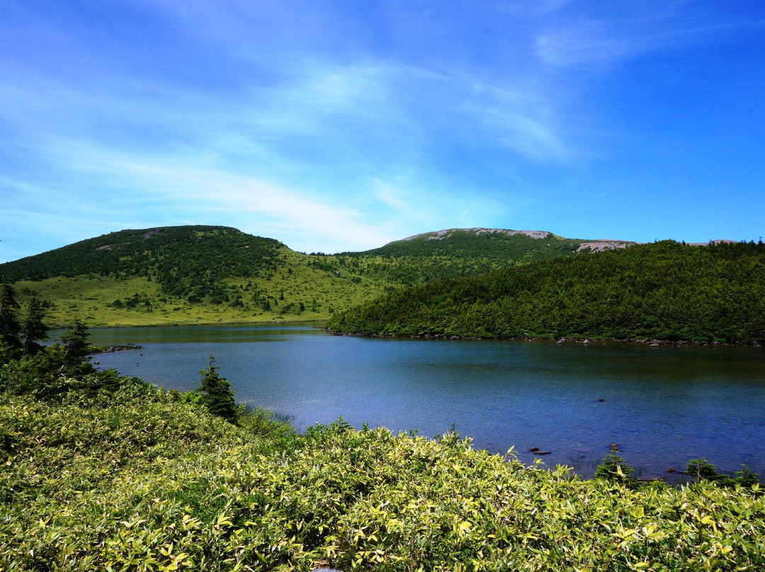 Kanuma Nature Hiking Course景点图片