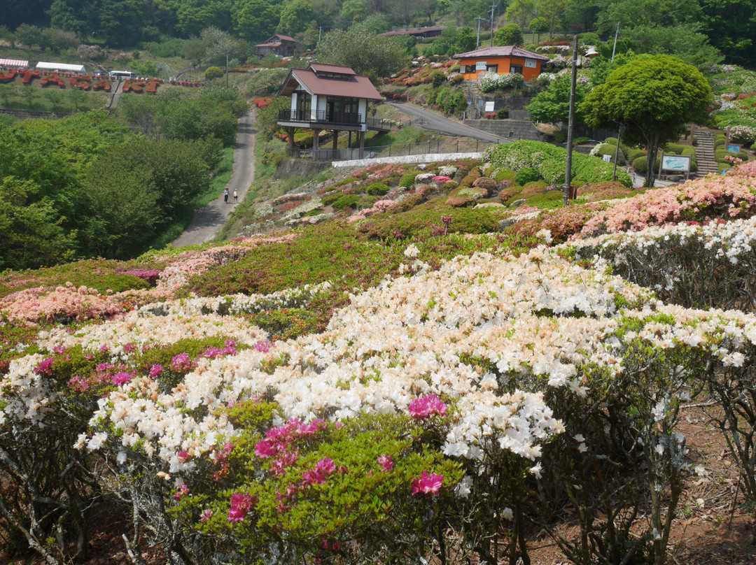 杵岛郡旅游攻略图片