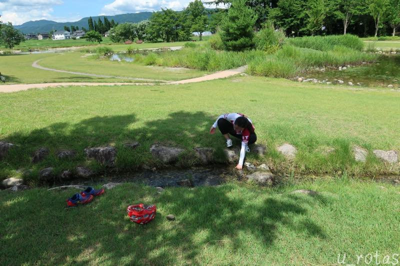 Azumino Chihiro Park景点图片