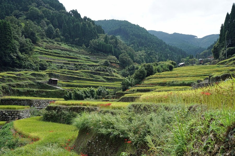 浮羽市旅游景点-Tsuzura Tanada