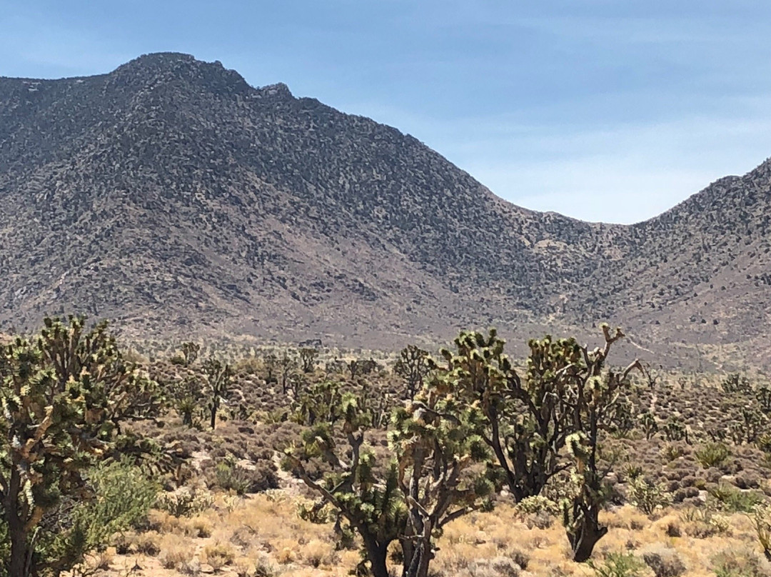 Meadview旅游攻略图片