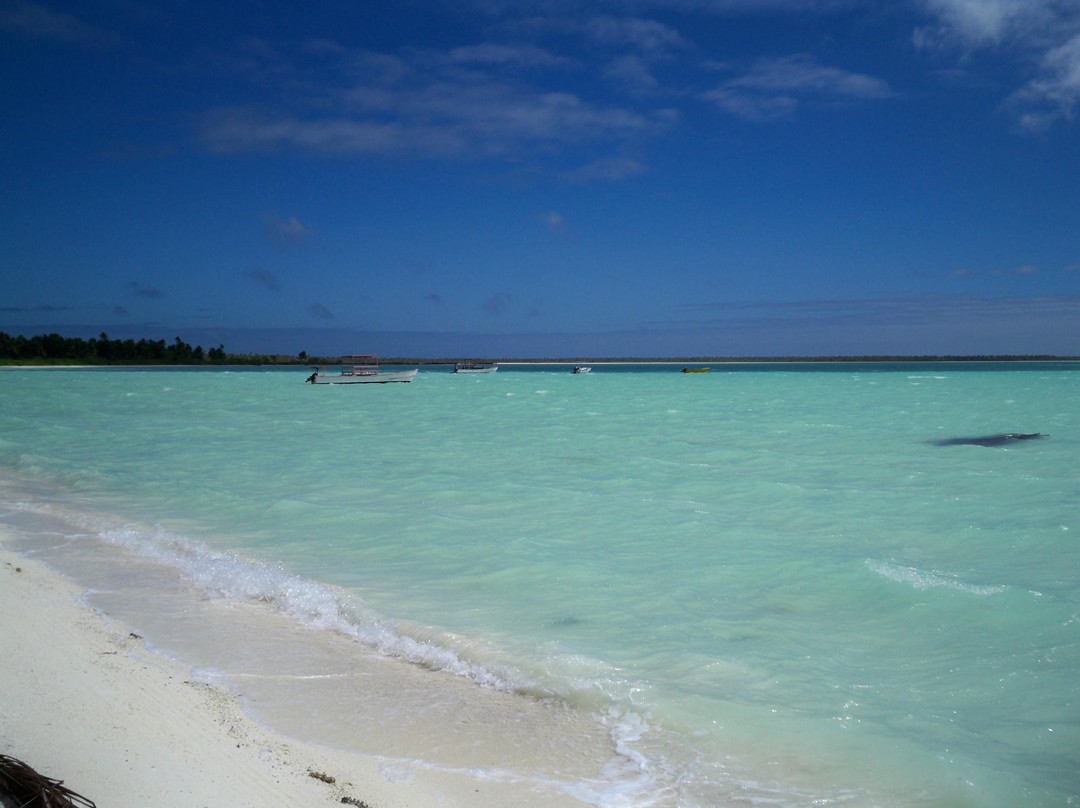 Kiritimati旅游攻略图片