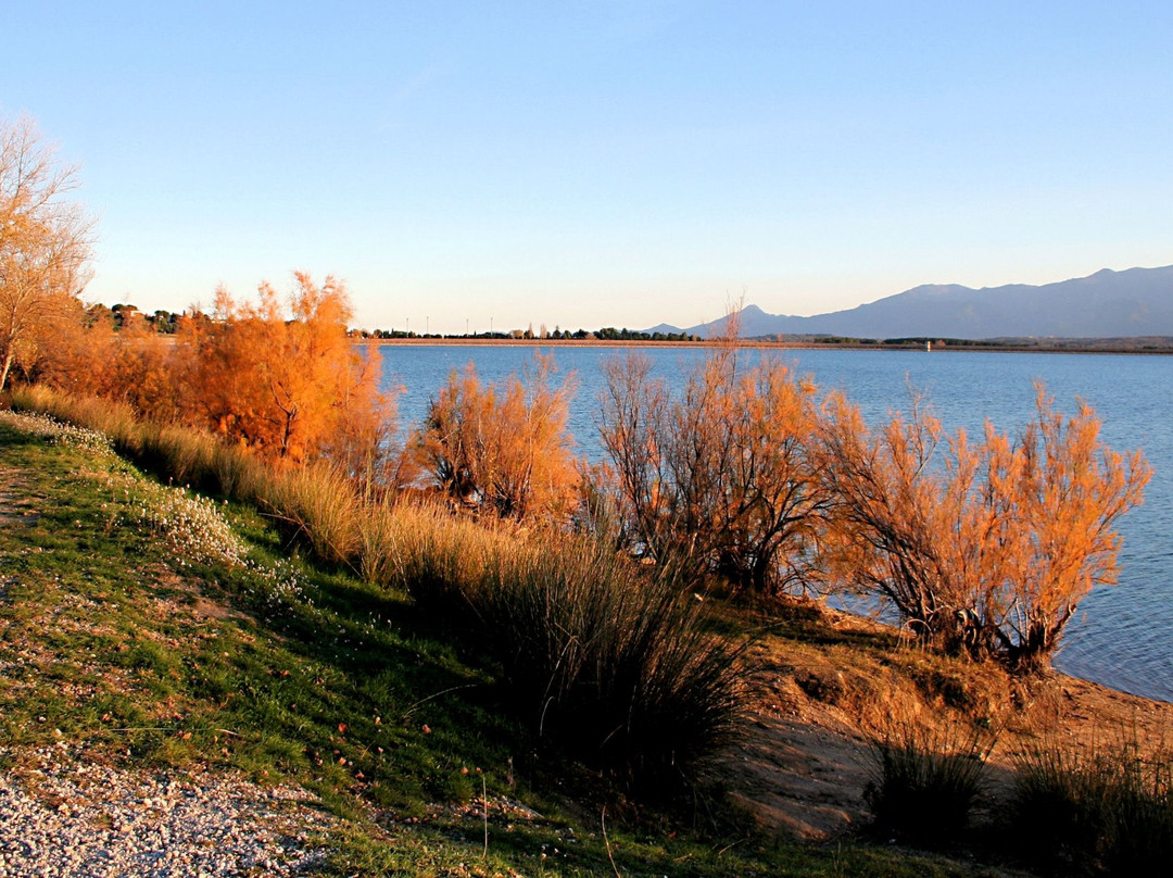 Villeneuve-de-la-Raho旅游攻略图片