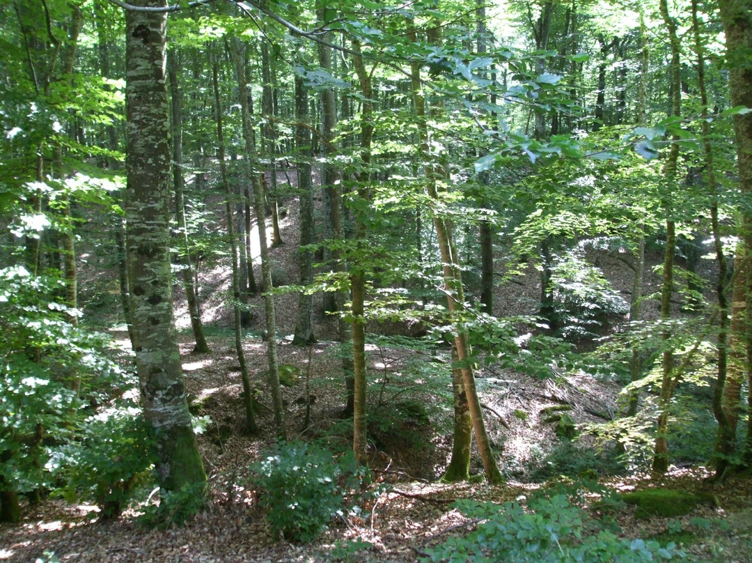 Echassieres旅游攻略图片