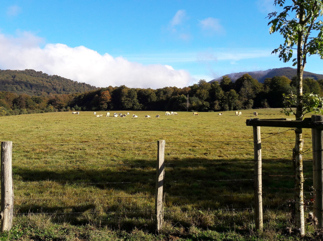 Larrasoana旅游攻略图片