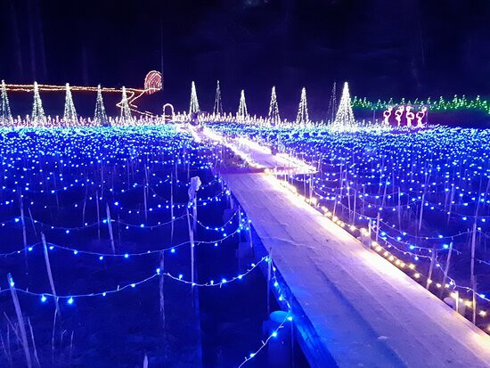 Ichihara Quard's Forest-市原市必去景点