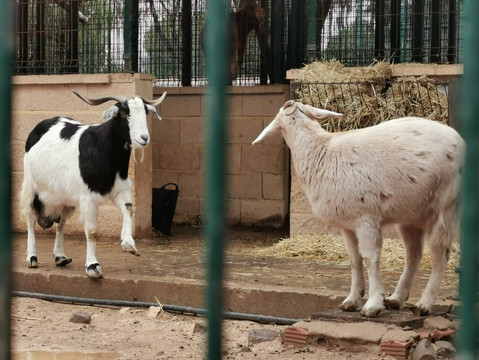 Granja Agrícola-梅利利亚必去景点