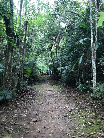 Parque Natural Municipal Francisco Affonso de Mello景点图片