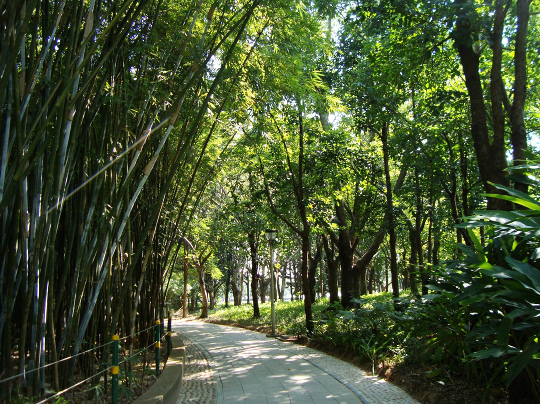 福田红树林自然保护区景点图片