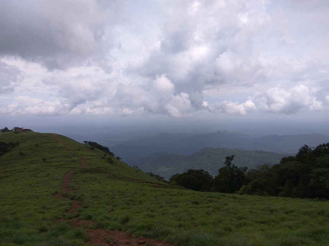 Paithalmala Hill Station景点图片