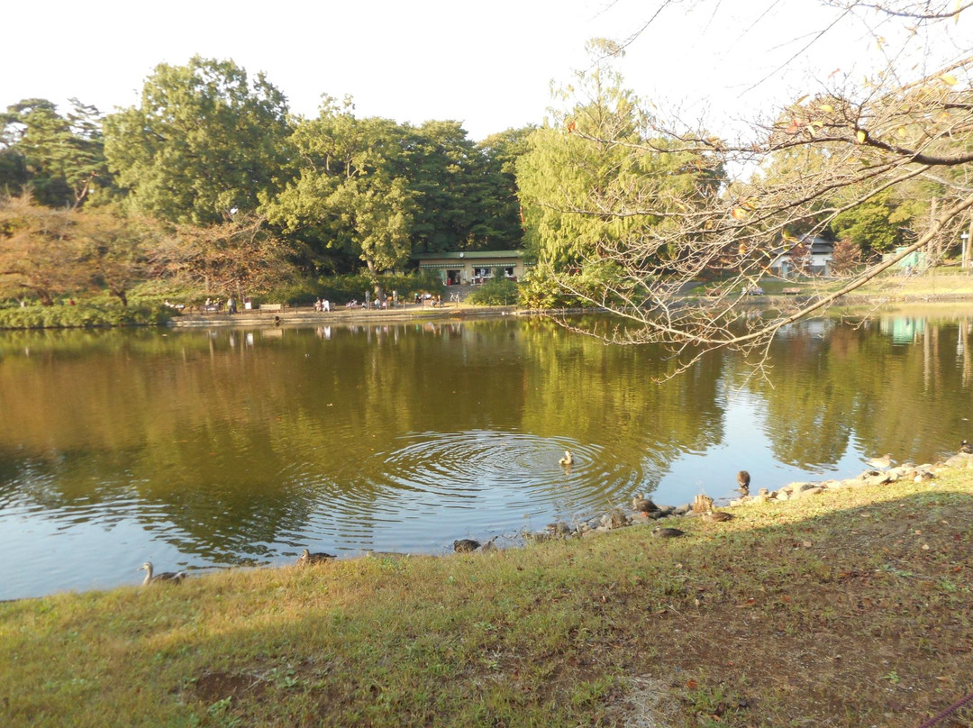 Saitama Prefecture Omiya Park景点图片