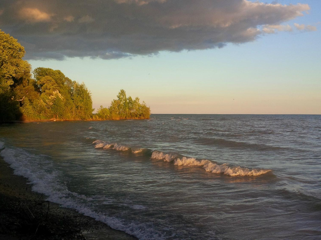 Selkirk旅游攻略图片