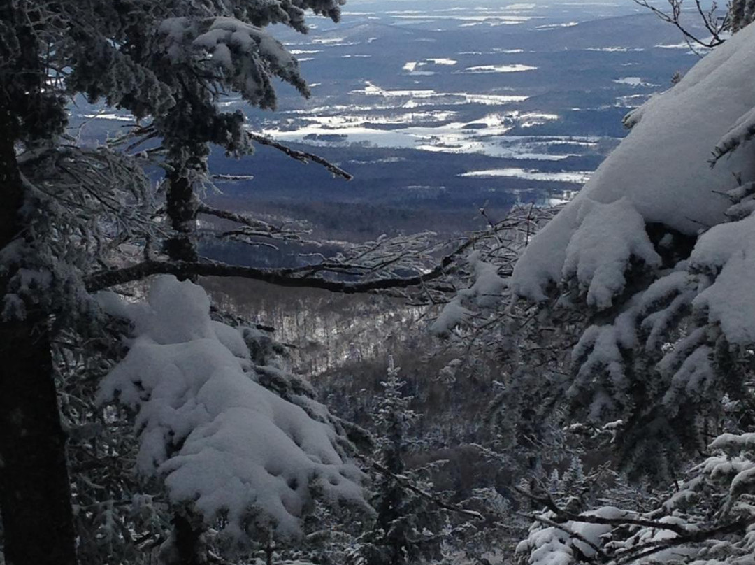 Sutton旅游攻略图片