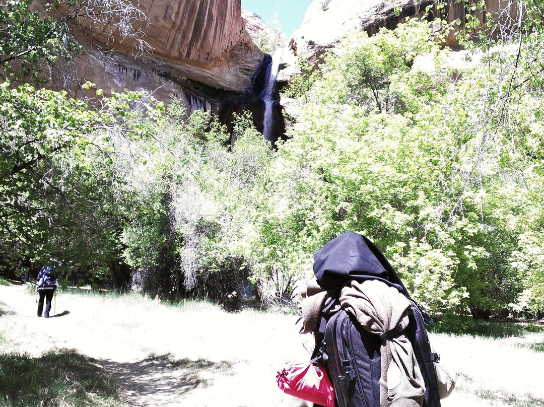 Beaver旅游攻略图片