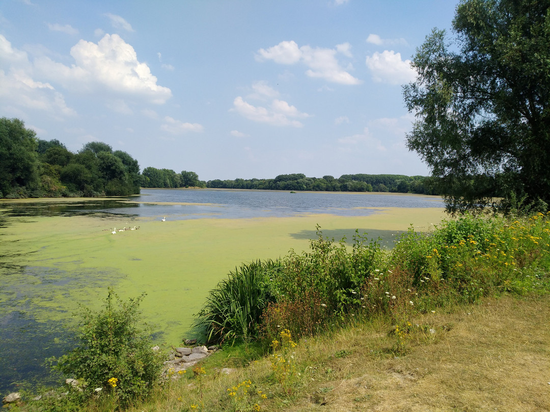 Lac du Heron景点图片