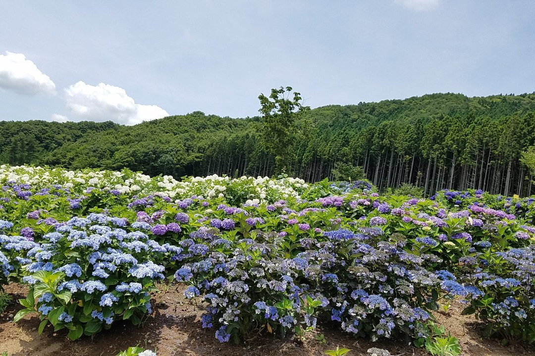 Jupia Land Hirata-平田村必去景点