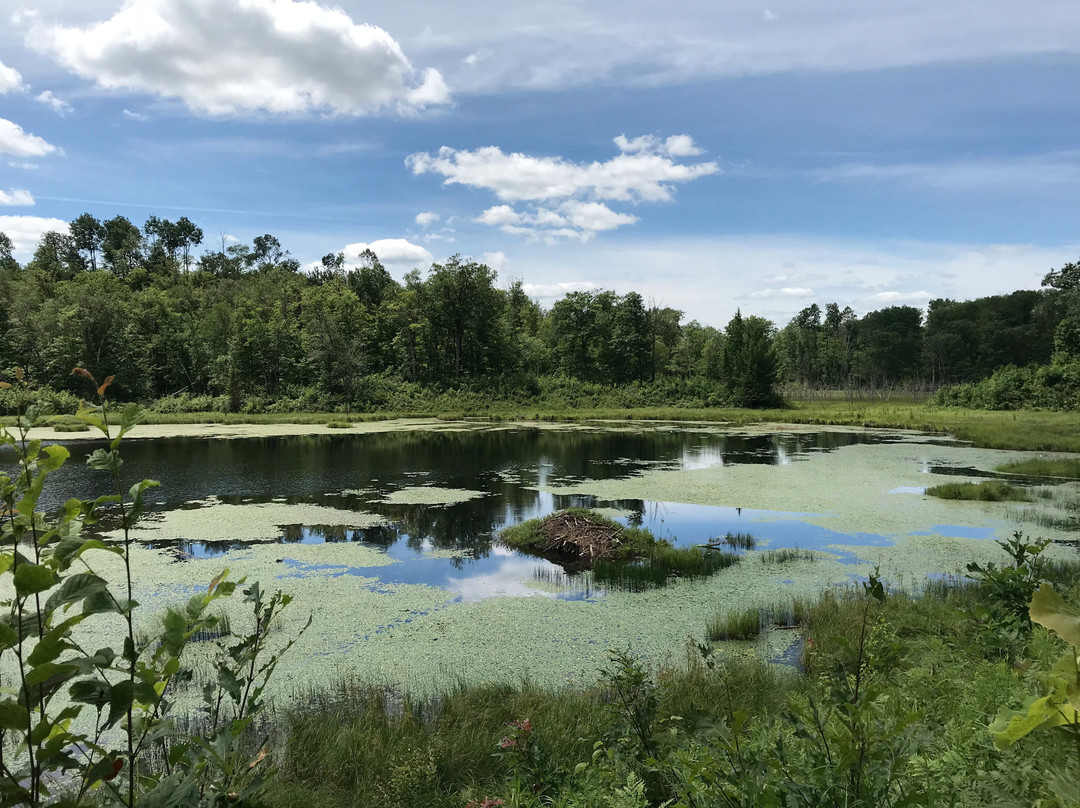 McGregor旅游攻略图片