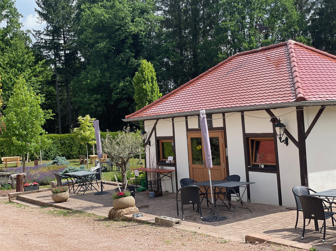 Gut Lindenfels