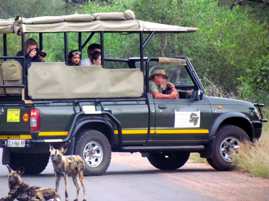 Kruger Africa Safaris-玛洛斯帕克必去景点