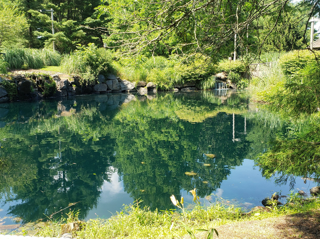 Pine Creek Miniature Golf-West Amwell必去景点