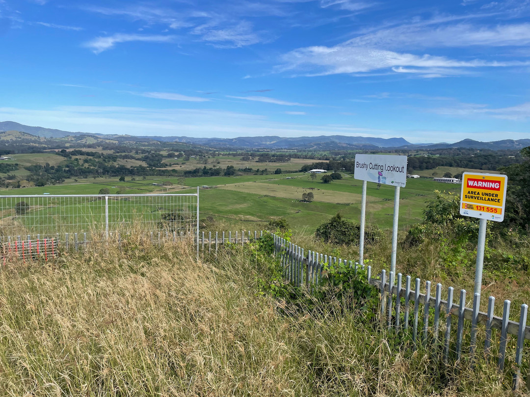 Brushy Cutting Lookout