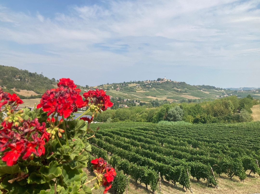 Azienda Agricola Amerio Vincenzo景点图片