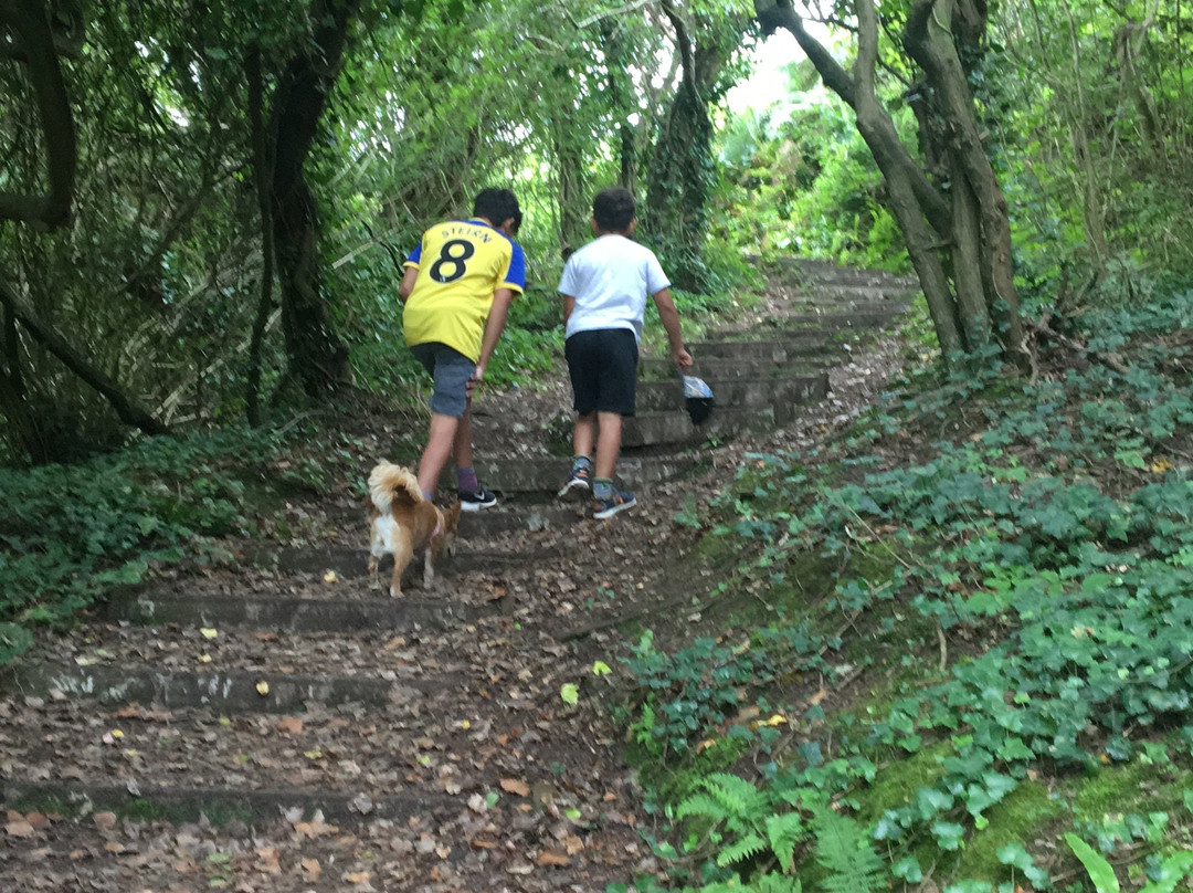Mumbles Hill Local Nature Reserve景点图片