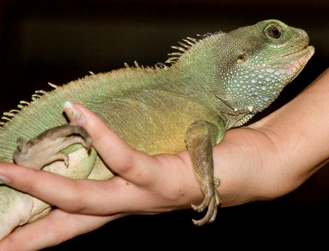 卡尔弗城旅游景点-Star Eco Station