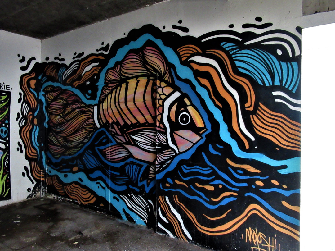 Fresque "poisson Coloré"景点图片