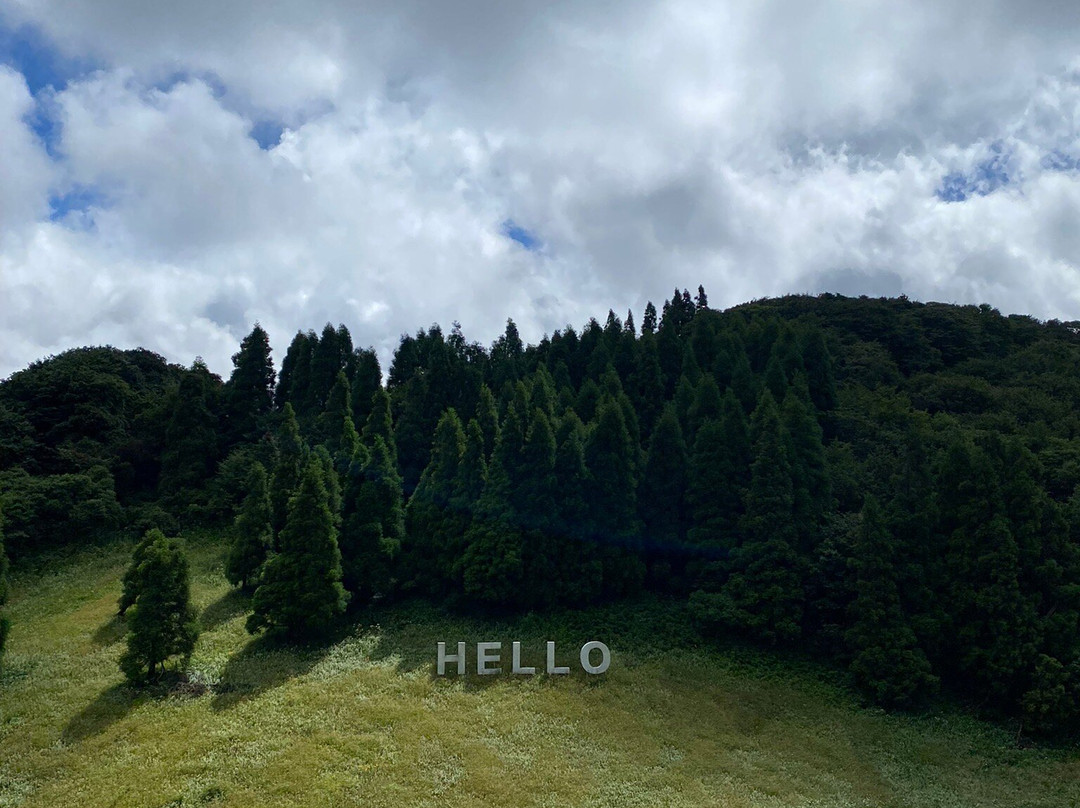 金佛山景点图片