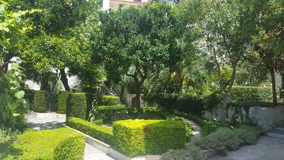 Giardino della Minerva景点图片