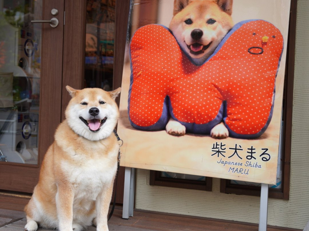 Nezu旅游景点-Gallery Marusan