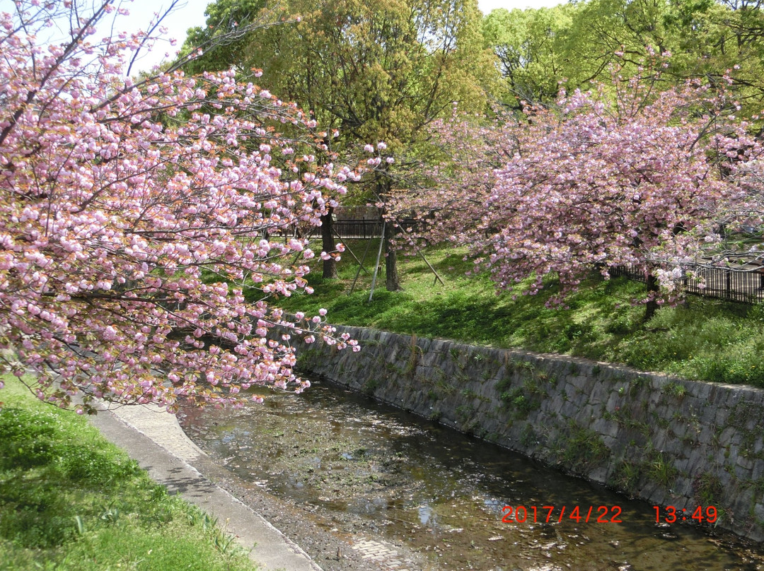 尼崎市旅游景点-Kamisakabenishi Park