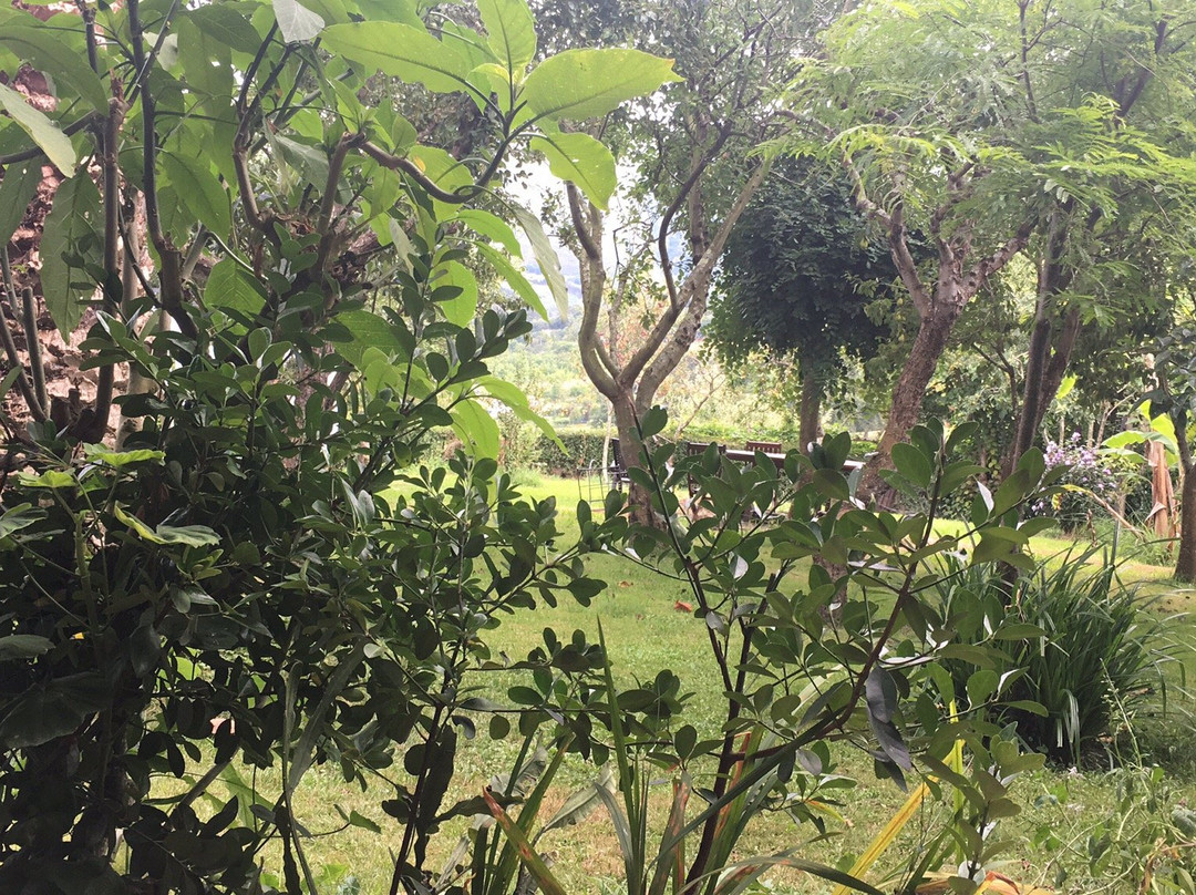 Hotel Rural la Curva主图