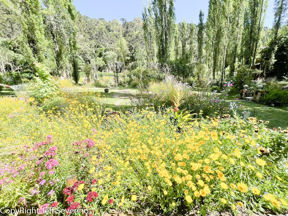 Jardim Secreto Ville De France景点图片