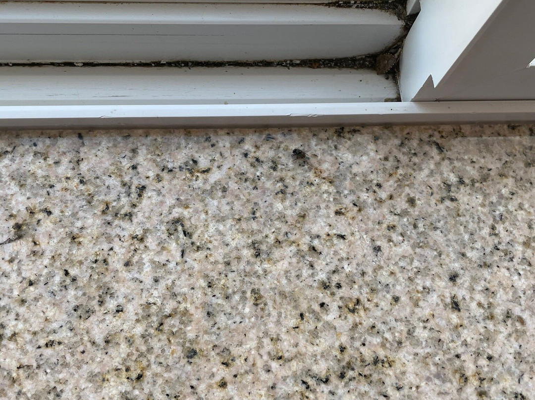 Comfort Inn & Suites Orange - Montpelier主图