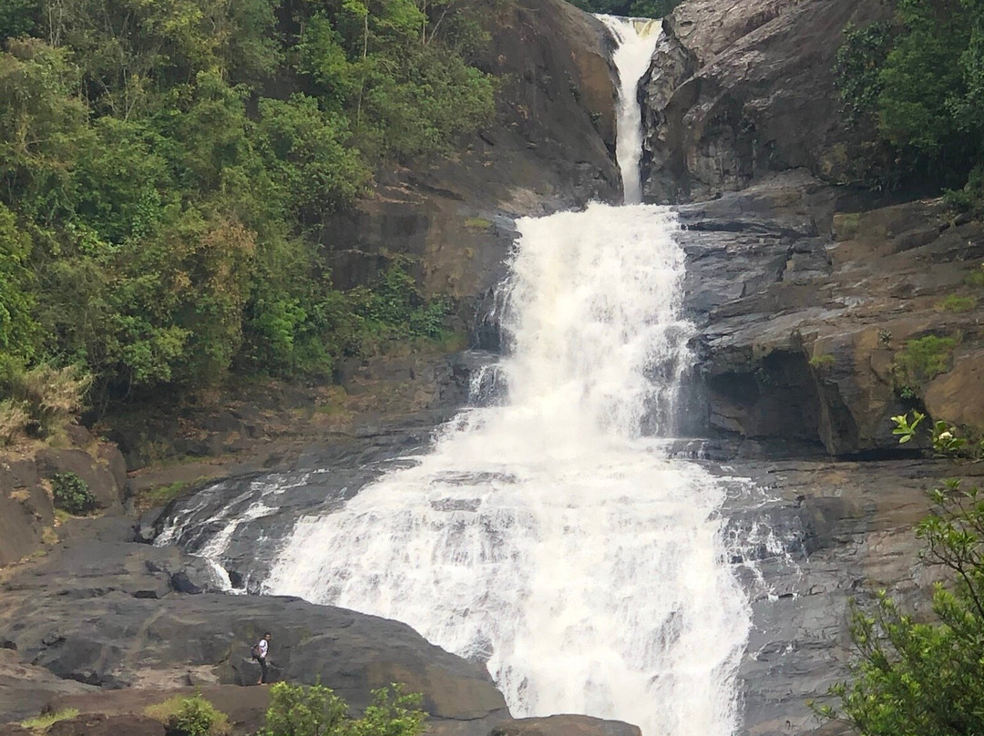 Bopath Ella (Bopath Falls)景点图片