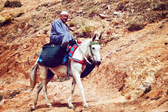 Marrakesh Day Tours-马拉喀什必去景点