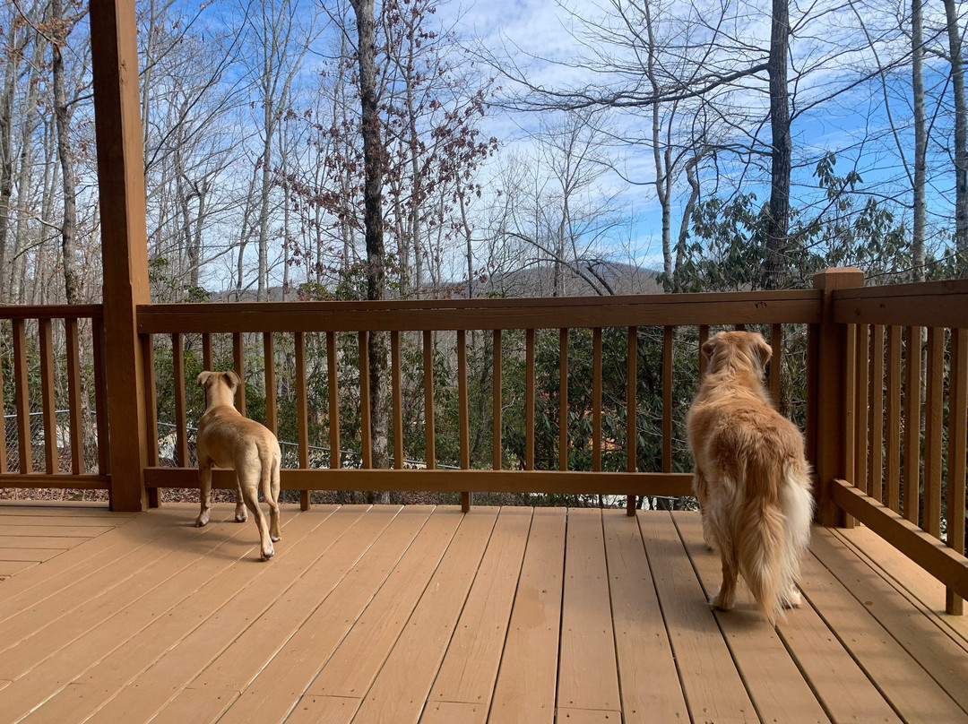 DogWoods Retreat