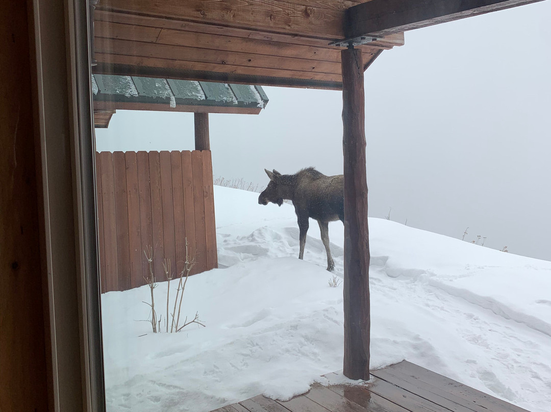 Alaskan Suites主图