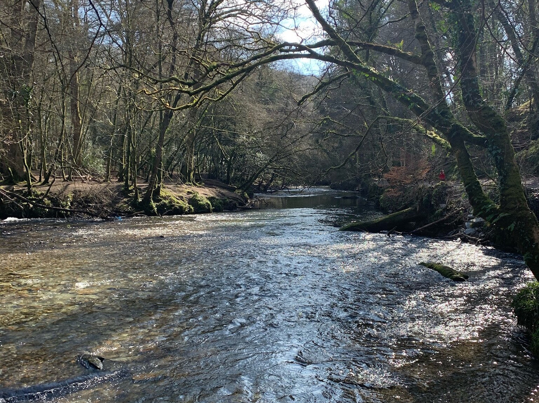 River Plym景点图片