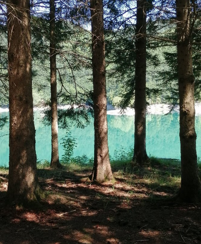 Lago del Brugneto景点图片